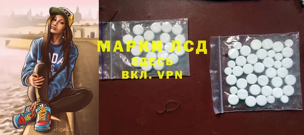гашик Михайловск