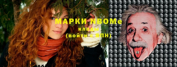 гашик Михайловск