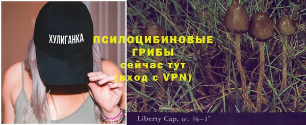 прущая мука Михайлов