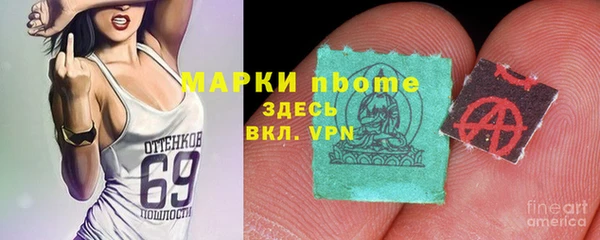 гашик Михайловск