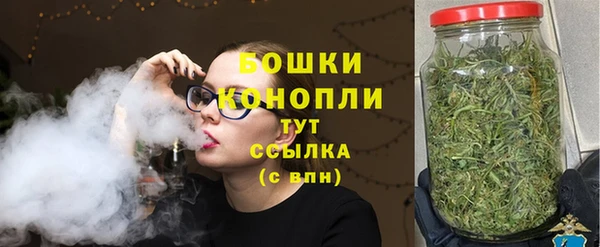 гашик Михайловск