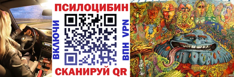 Купить где  Канск  Галлюциногенные грибы Psilocybine cubensis 